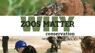 WHY ZOOS MATTER – Part 1: Conservation