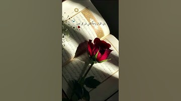 بعيدا عن ضجيج العالم .. راحة نفسية ❤️ #تلاوات_خاشعة #sleep #اكسبلور  #الشيخ #القران_الكريم #لايك