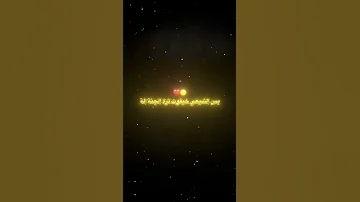 باجر لمن نموت بالبرزخ يجي الصوت سيد فاقد الموسوي ستوريات اللهم صل على محمد وال محمد يالله ياحسين 