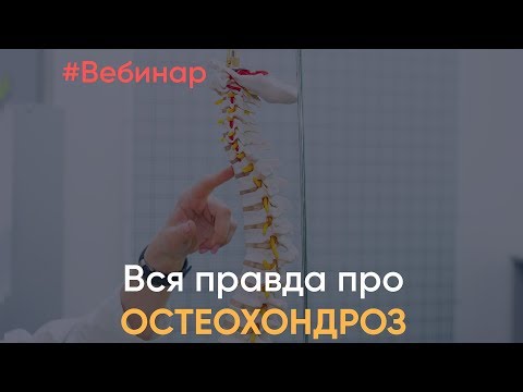 Вся правда про