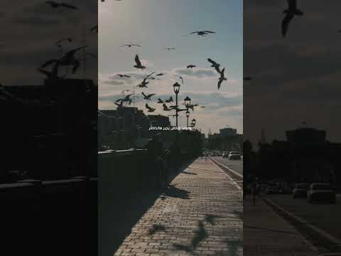 ردو حبيبي ملحم زين