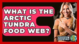 What Is The Arctic Tundra Food Web? - Ecosystem Essentials What Is The Arctic Tundra Food Web? - Ecosystem Essentials