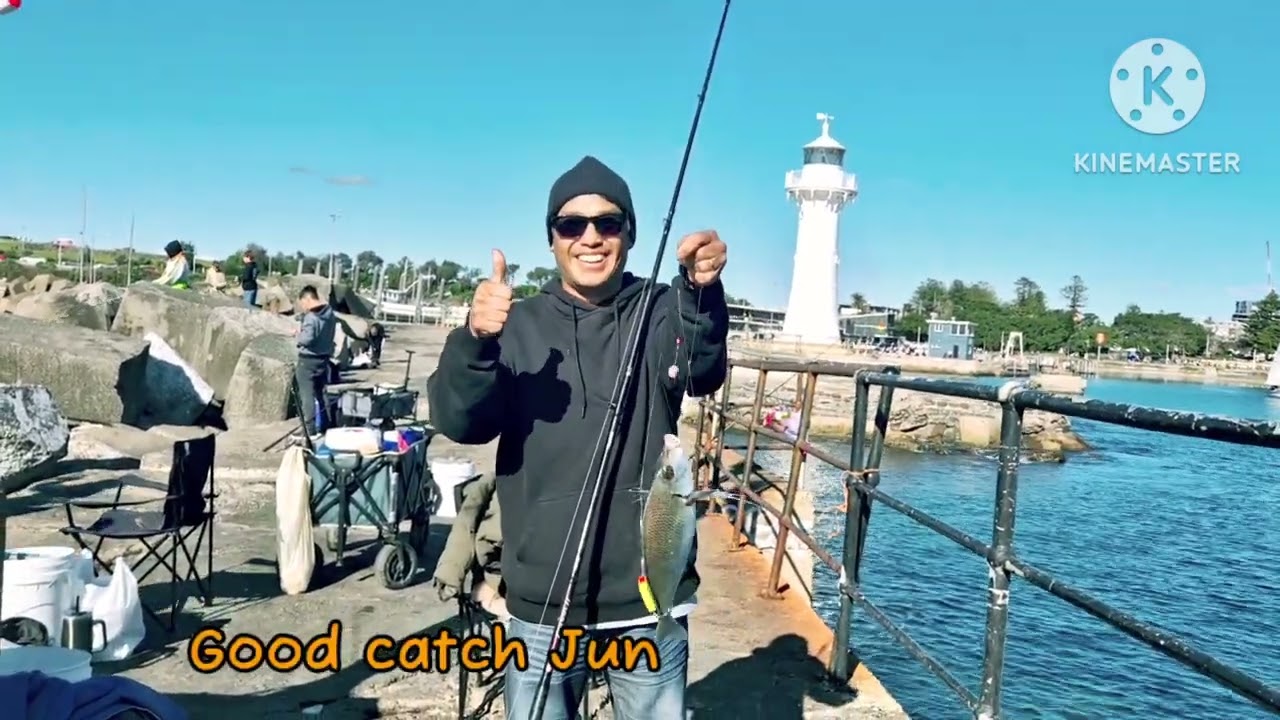 ILLAWARA WEEKEND FISHING NSW/HEAPS OF YELLOW TAIL AND MACKEREL###@kidmarino