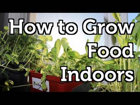 indoor gardening