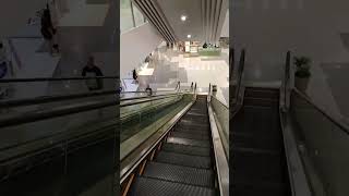 escalator shorts shortsviral ytp