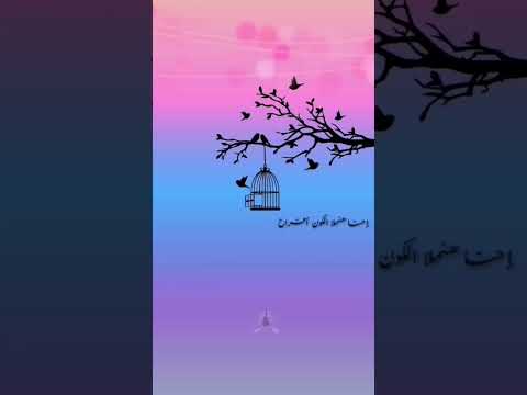 لو هو باع احنا نجيبله لمون نعناع حماقي حاله واتس اب لمون نعناع محمد حماقي حالات واتساب 2023