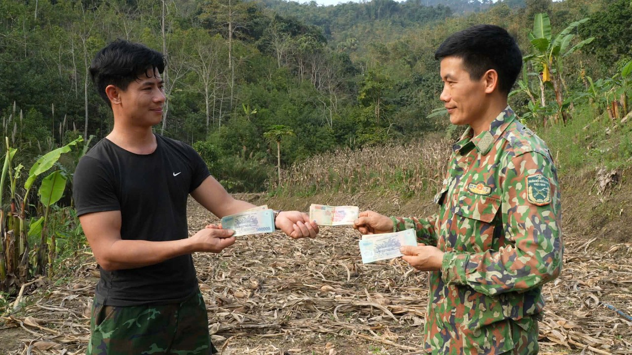 CEO Trieu Khang buys more land to grow vegetables for sustainable living