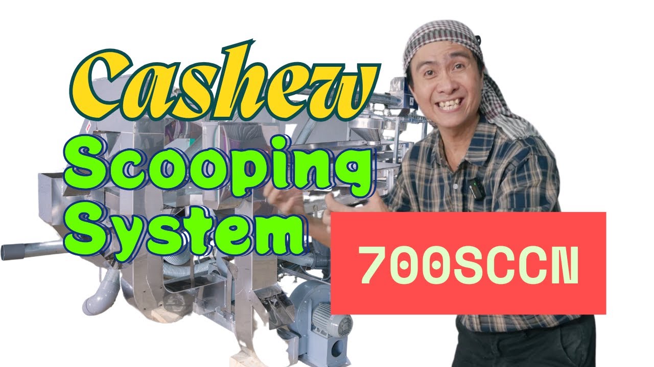 Model 2026 -  Cashew Scooping System 700SCCN- Cashew cutter machine