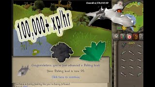 Osrs How To 3 Tick Barbarian Fish - The Easiest Way