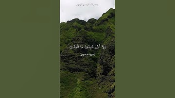 الشيخ محمد الفقيه سورة الكافرون