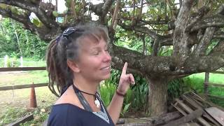 Longest dreads ever! Rasta woman talks about hurricane Maria
