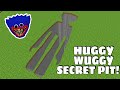 What is INSIDE THE BIGGEST HUGGY WUGGY PIT -  Minecraft Gameplay - Coffin Meme