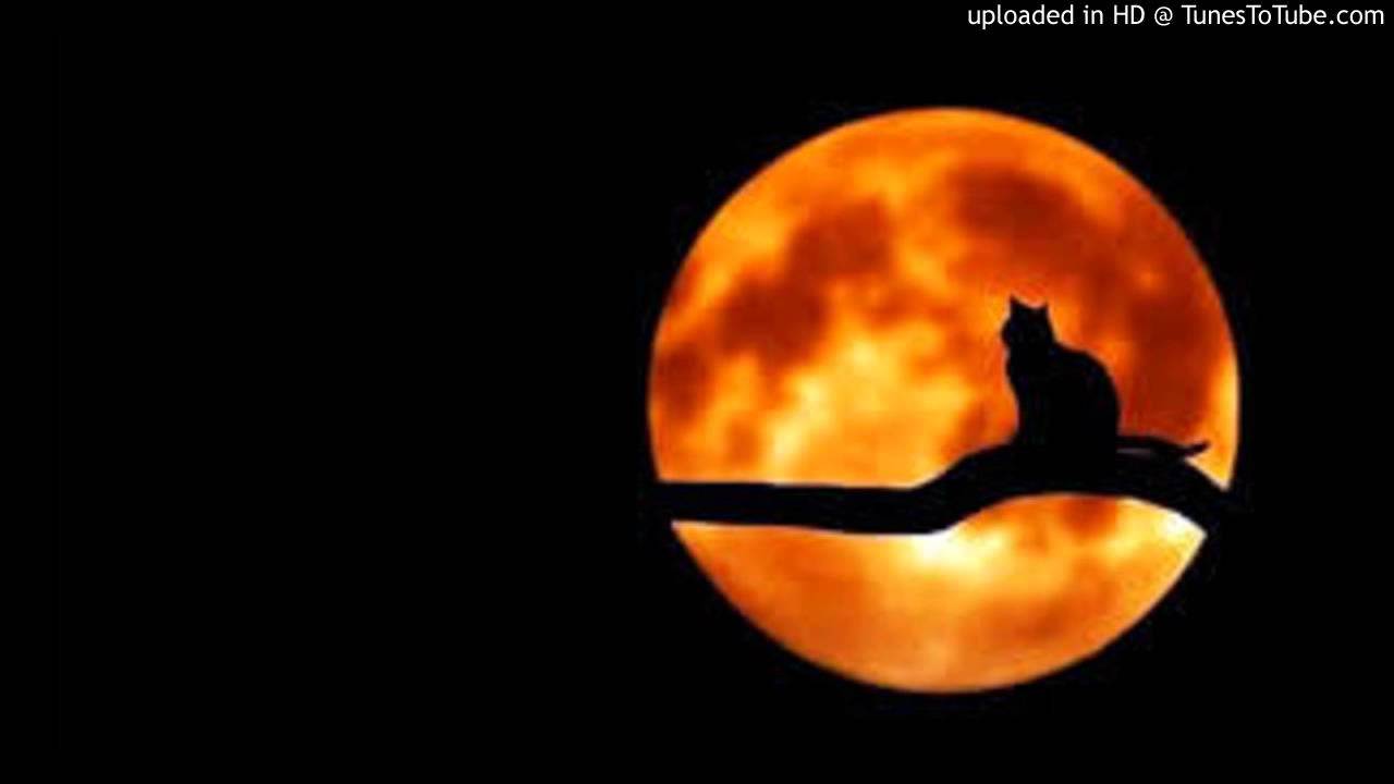 Jonathann Cast - Black Night (Dolby D Remix)