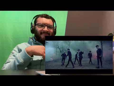 Vixx 'Fantasy' MV Reaction/Review