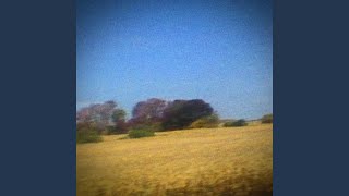 Miniatura de "Sun Kil Moon - Dogs"