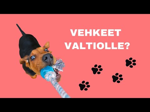 Video: Onko kastraatio hyväksi koirille?