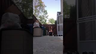 Alt single leg deck squats