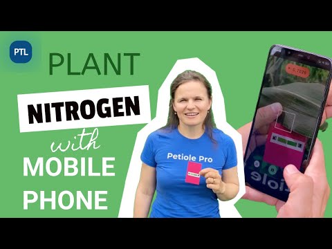 How to measure plant Nitrogen with mobile phone? Chlorophyll estimation for corn without SPAD