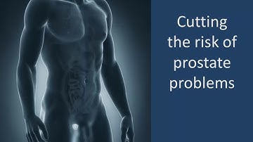 Reducing the risk of prostate problems    Dr Paul Clayton