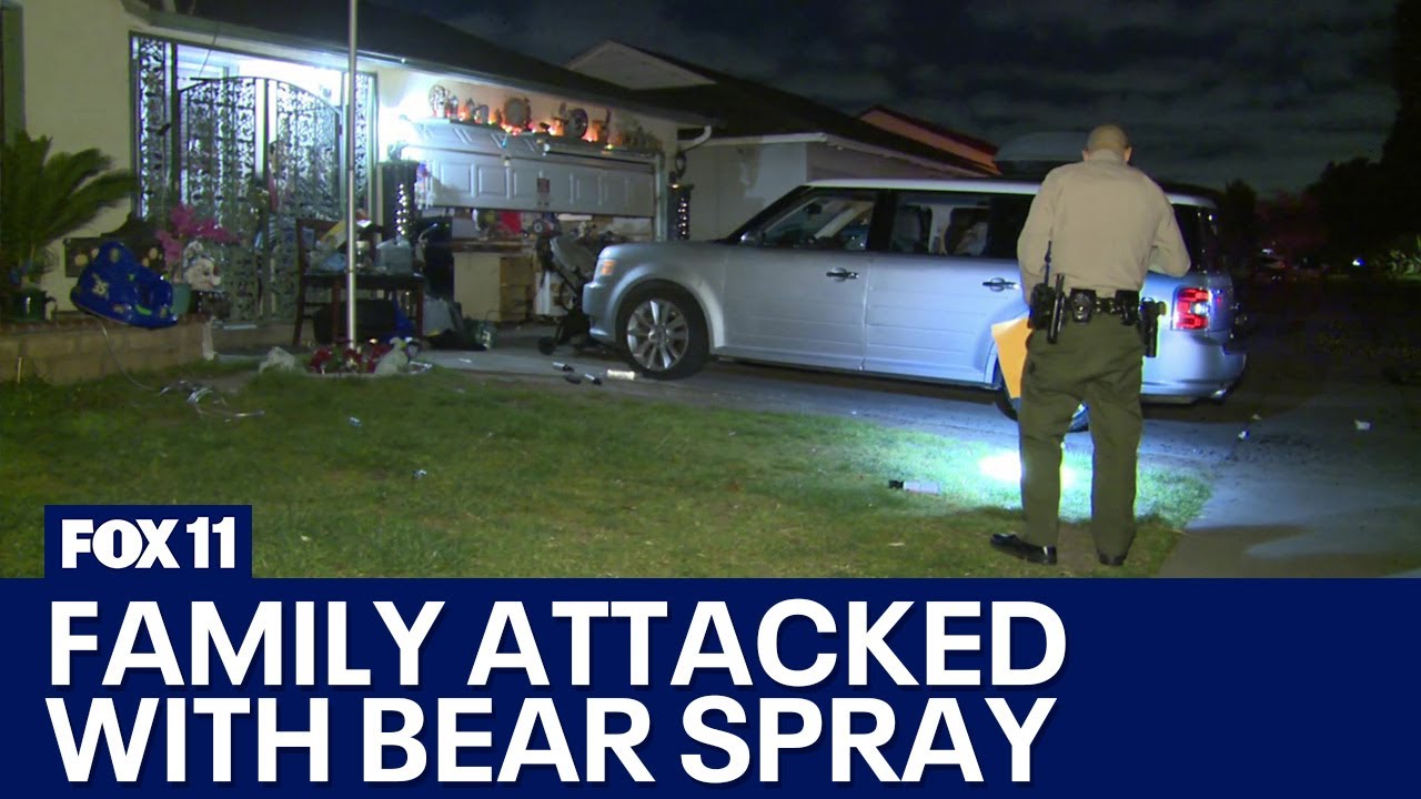 Lakewood family attacked with bear spray; mother blames boyfriend's ex