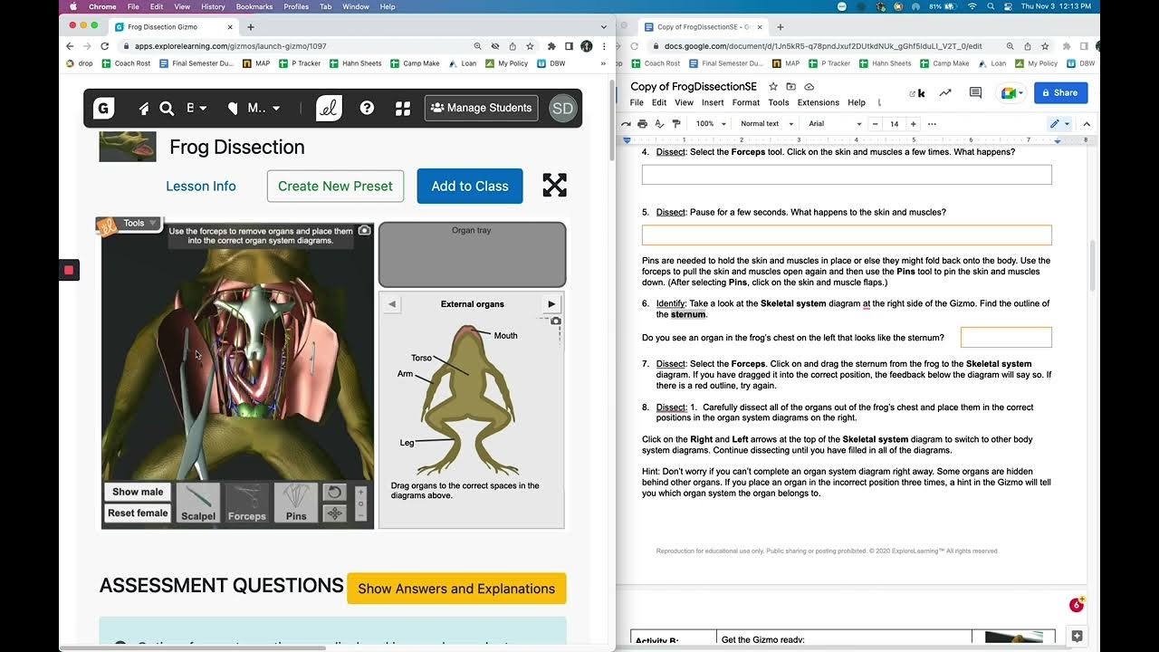 Frog Dissection Gizmo Instructional Video - YouTube