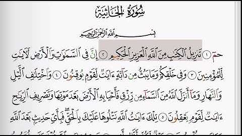 (45) سورة الجاثية | شيخ الزين محمد احمد