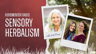 HerbMentor Radio: Kat Maier — Sensory Herbalism screenshot 1