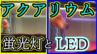 GEX パワーLED Ⅲ導入!!