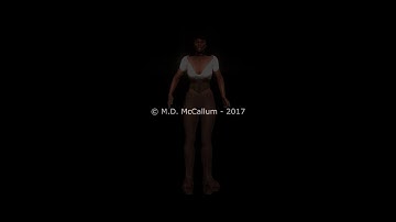 Gunslinger - Character Creator 2.0 Beta Test Character