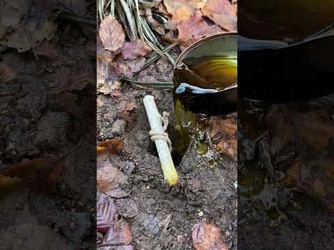 Survival Skills: Amazing FIRE 🔥 in the Wilderness. #survival #camping #skills #lifehacks