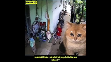 Trẻ Con Có Biết Gì Đâu - Sự Thất Bại Của Giáo Dục #Shorts