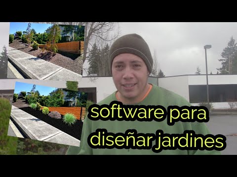 Vídeo: Quitrà de bedoll: aplicació en jardineria i horticultura