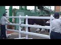 【パカパカ動画】みんな大好き パカパカ動画 浦和競馬 レース後に引き上げてくるお馬さんと誘導馬