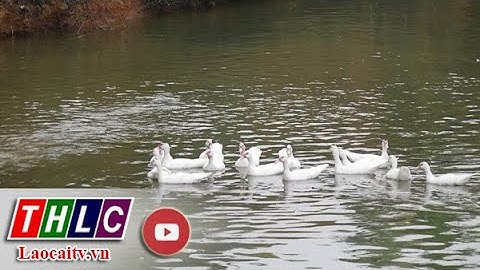 Đầu tư, khai thác hiệu quả các công trình thủy lợi | THLC