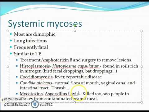 mycoses systemic