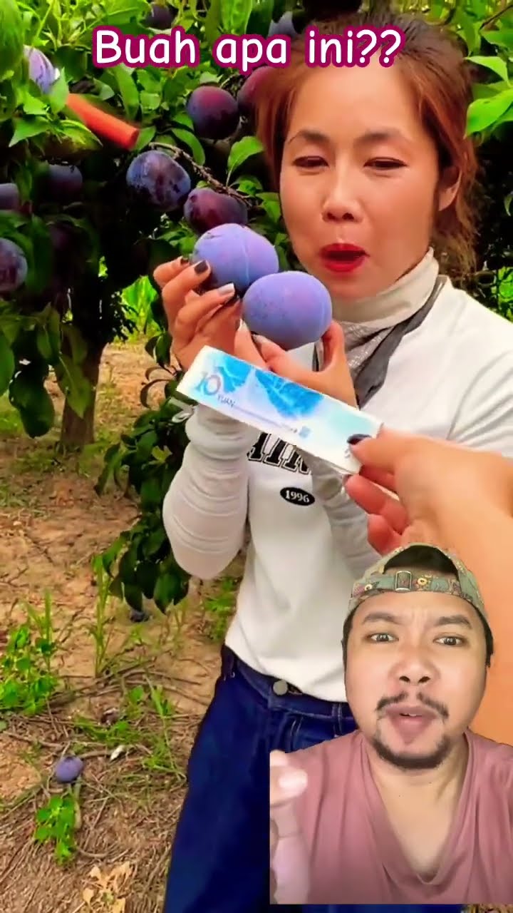 BUAH TUKER DUIT!!??GAK MAU LAH!!!?! #fruit #funny #facts #youtubeshorts #satisfying