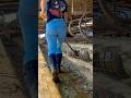 Talk Dairy To Me рџђ Dairyfarmer Dairyfarmlife Farmersdaughter Talk Dairy To Me рџђ Dairyfarmer Dairyfarmlife Farmersdaughter