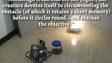 LEGO NXT Grey Walter Tortoise