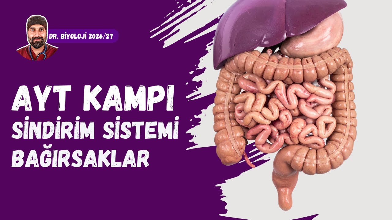Sindirim Sistemi Bağırsaklar | Dr. Biyoloji | AYT Dönem 2026 - 2027