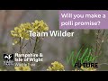 St Alban's Primary School's Polli Promise as part of Year of Green Action