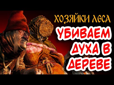 Хозяйки леса Ведьмак 3 Правильный выбор / Ведьмы или дерево / Убиваем духа в дереве