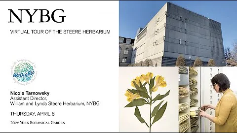 Virtual Tour of the Steere Herbarium