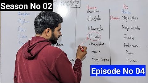 Classification Of Human Pea And Fruit Fly Class 9 || Episode 04 | Season 02 | New Syllabus 2025-26