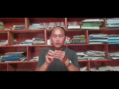 Video: Dab Tsi Yog Ib Qhov Module