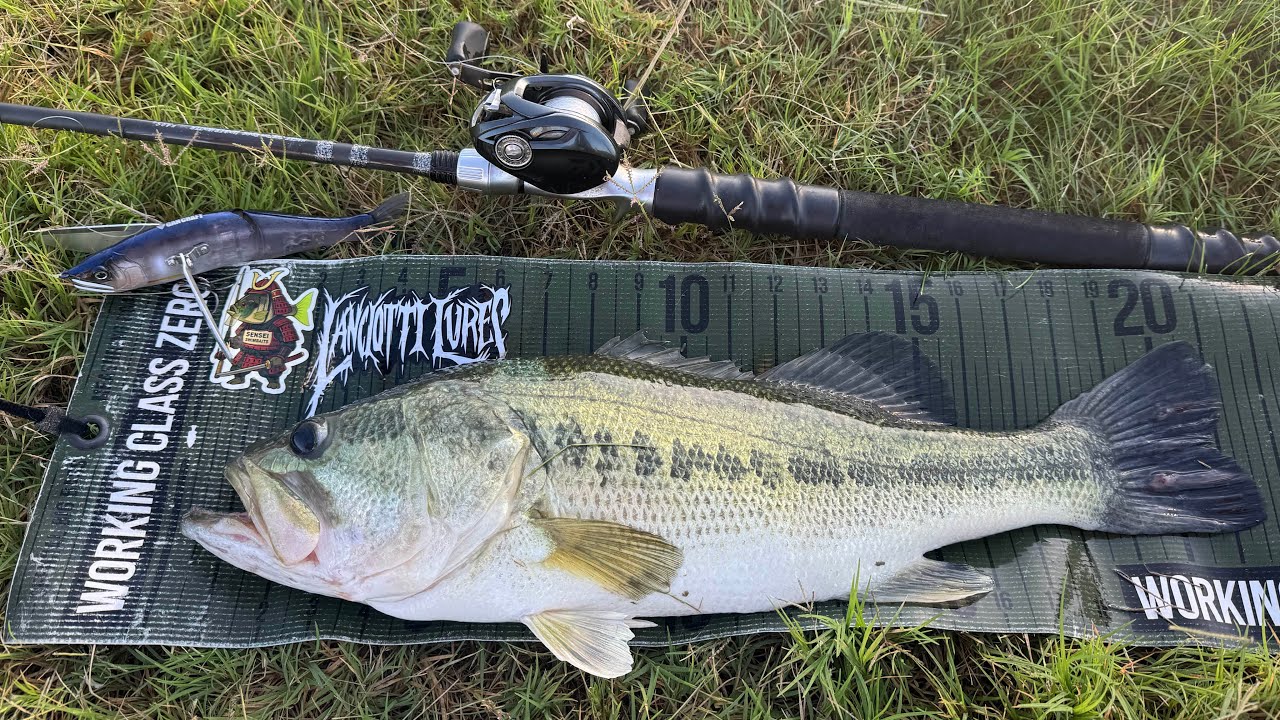 Topwater Crawler GETS insane blowups😳( Bonus Topwater+ Lake fishing)