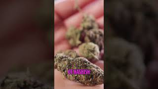 Cannabis Strength & Clinical Psychosis Warning