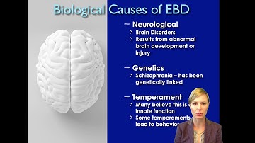 EXE 500: Module 7 Emotional and Behavioral Support