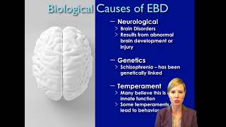 EXE 500: Module 7 Emotional and Behavioral Support