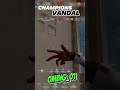 This Champions Vandal Just Hits DIFFERENT 💥 #Valorant #gaming  #championsvandal #valoranthighlights