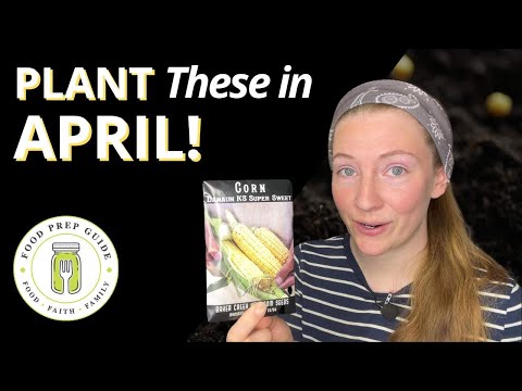 Plant These 10 Crops NOW in April! 🌱